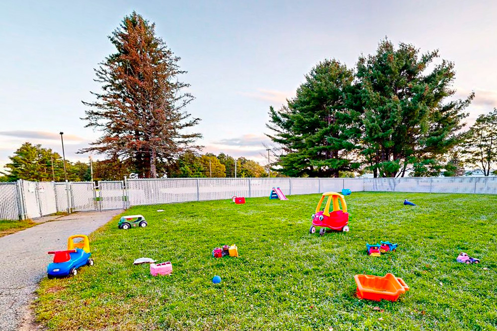 An outdoor play area filled with colorful toys scattered across a grassy lawn, surrounded by tall trees.